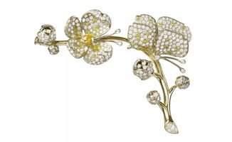 珠光下的动物奇趣王国 戴上动物，更添时尚魅力